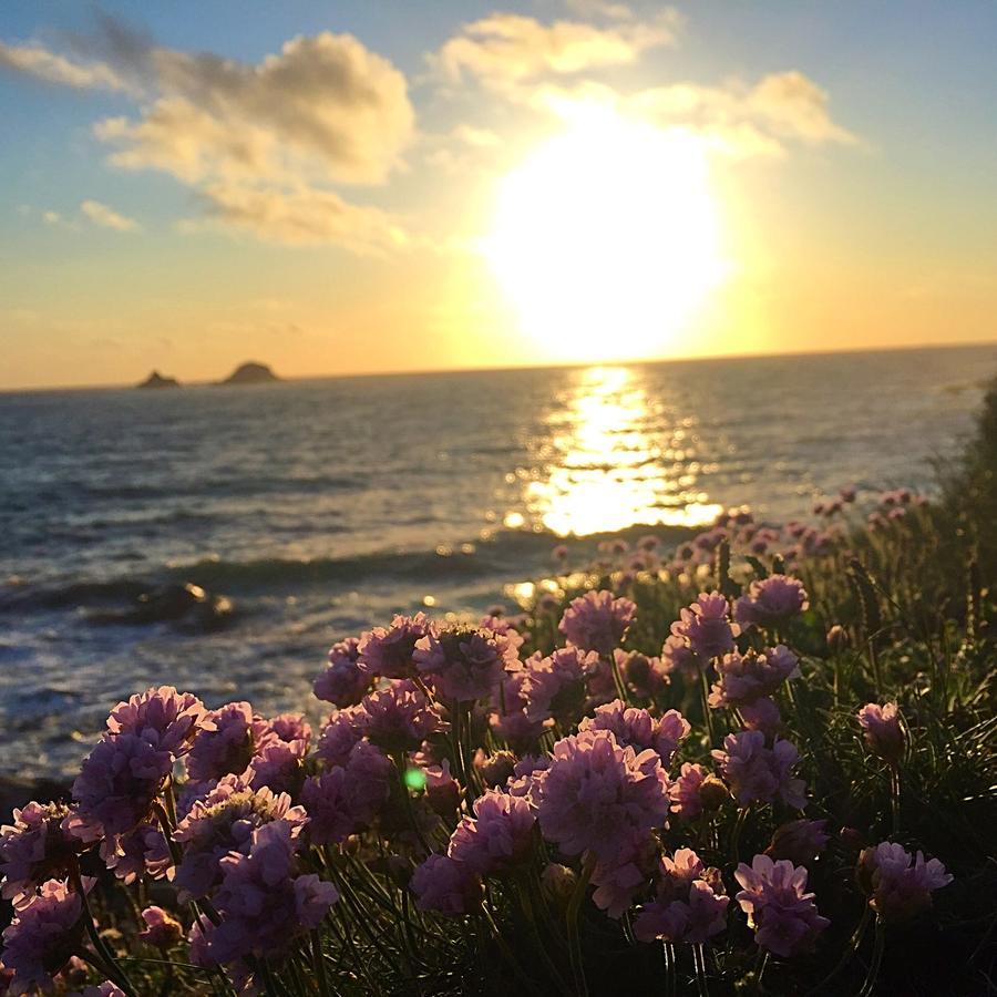 Roselands Caravan Park, Nr Lands End, Cornwall Сейнт-Джаст Экстерьер фото
